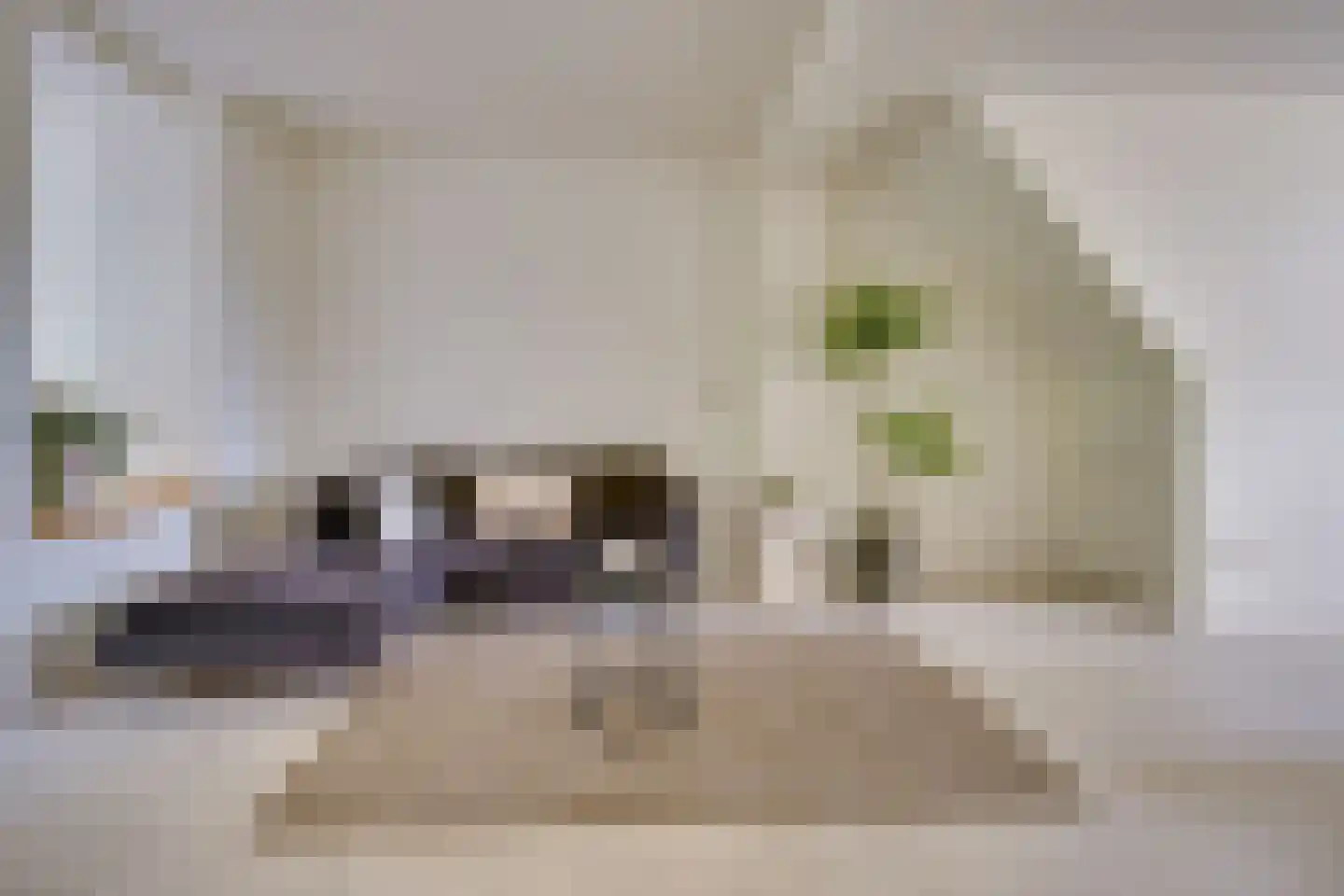 Kloosterstraat 41 Groningen thumbnail 6