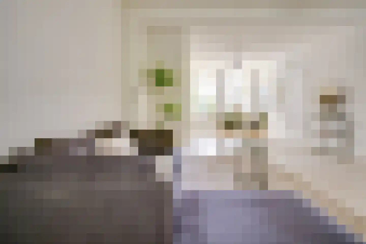Kloosterstraat 41 Groningen thumbnail 8