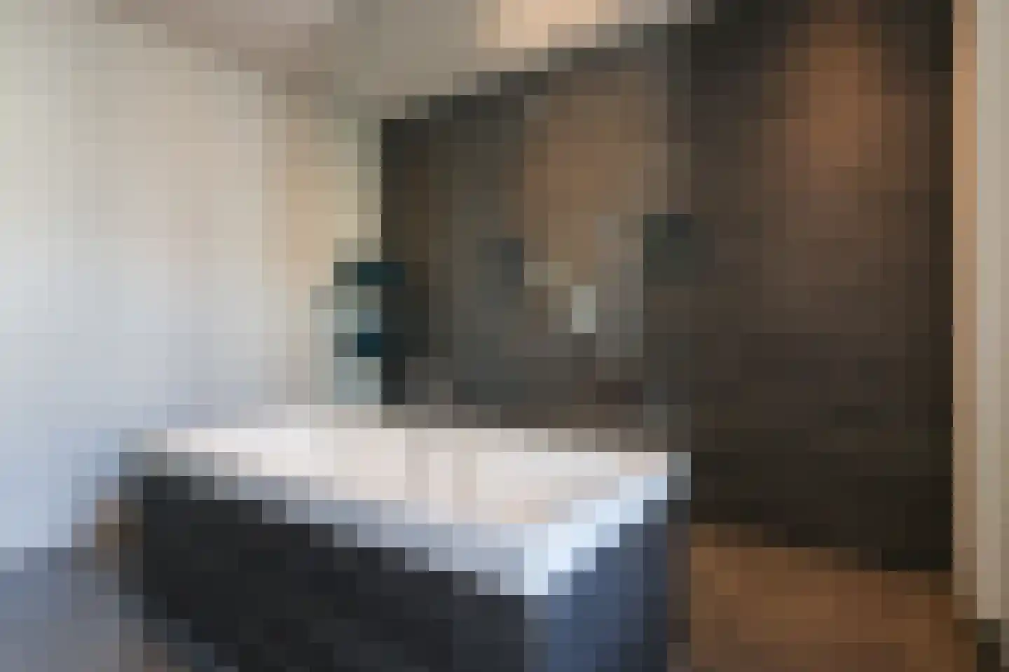 Kloosterstraat 41 Simpelveld thumbnail 34