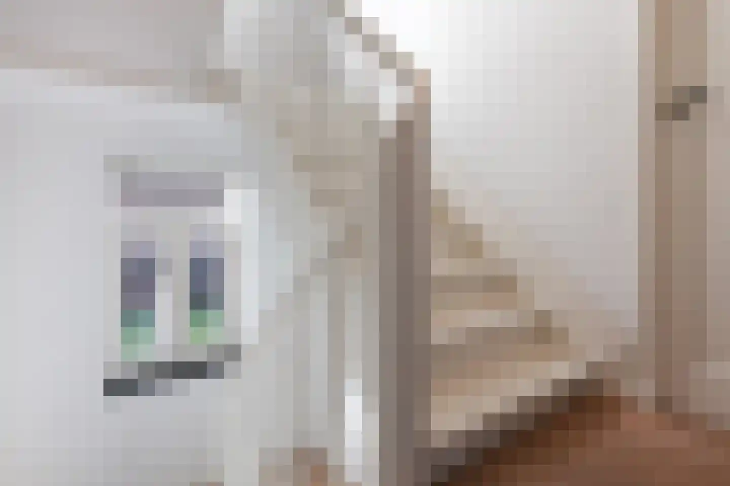 Kloosterstraat 41 Simpelveld thumbnail 40