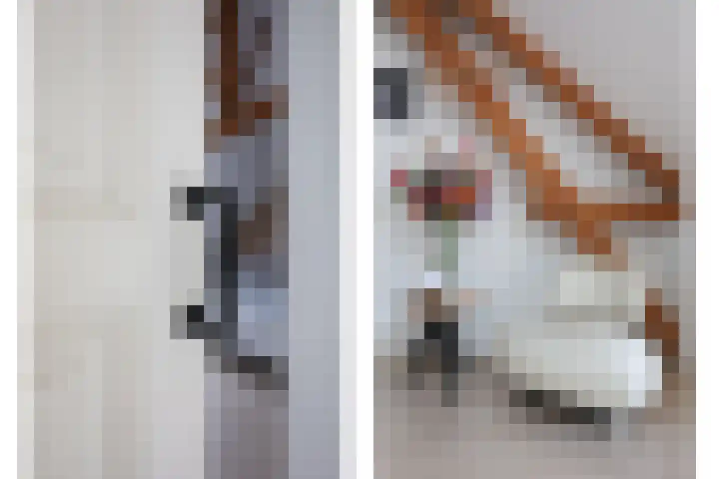 Kloosterstraat 41 Simpelveld thumbnail 44