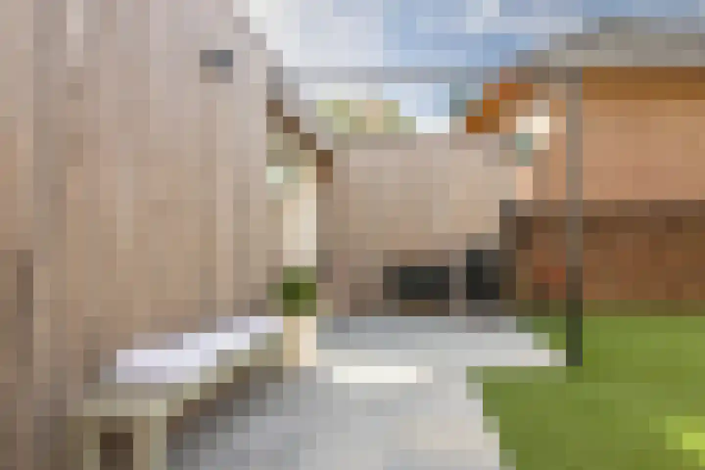 Kloosterstraat 41 Simpelveld thumbnail 49
