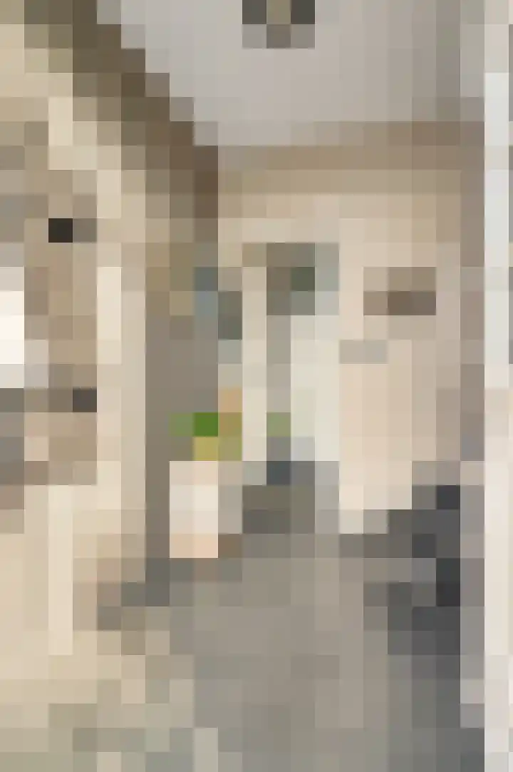 Kloosterstraat 41 Weert thumbnail 7