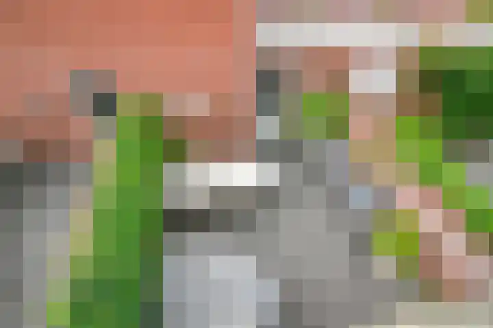 Kloosterstraat 42 a Goirle thumbnail 30