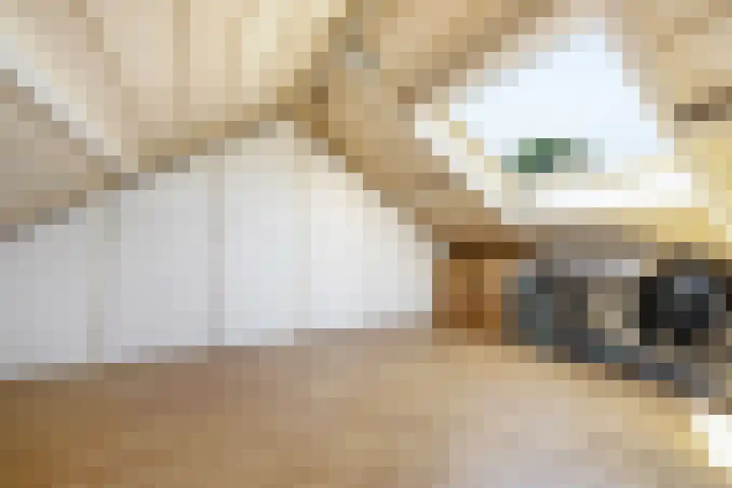 Kloosterstraat 46 Wintelre thumbnail 30