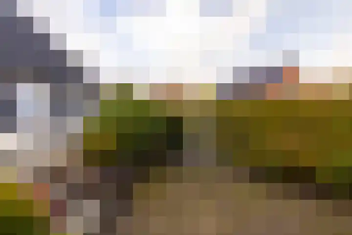 Kloosterstraat 47 Eerbeek thumbnail 14