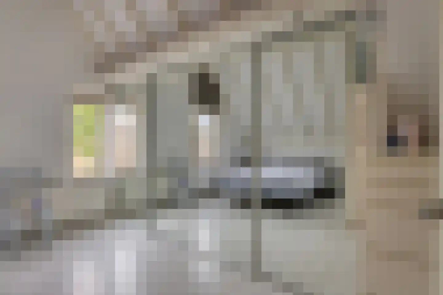 Kloosterstraat 47 Muiden thumbnail 28