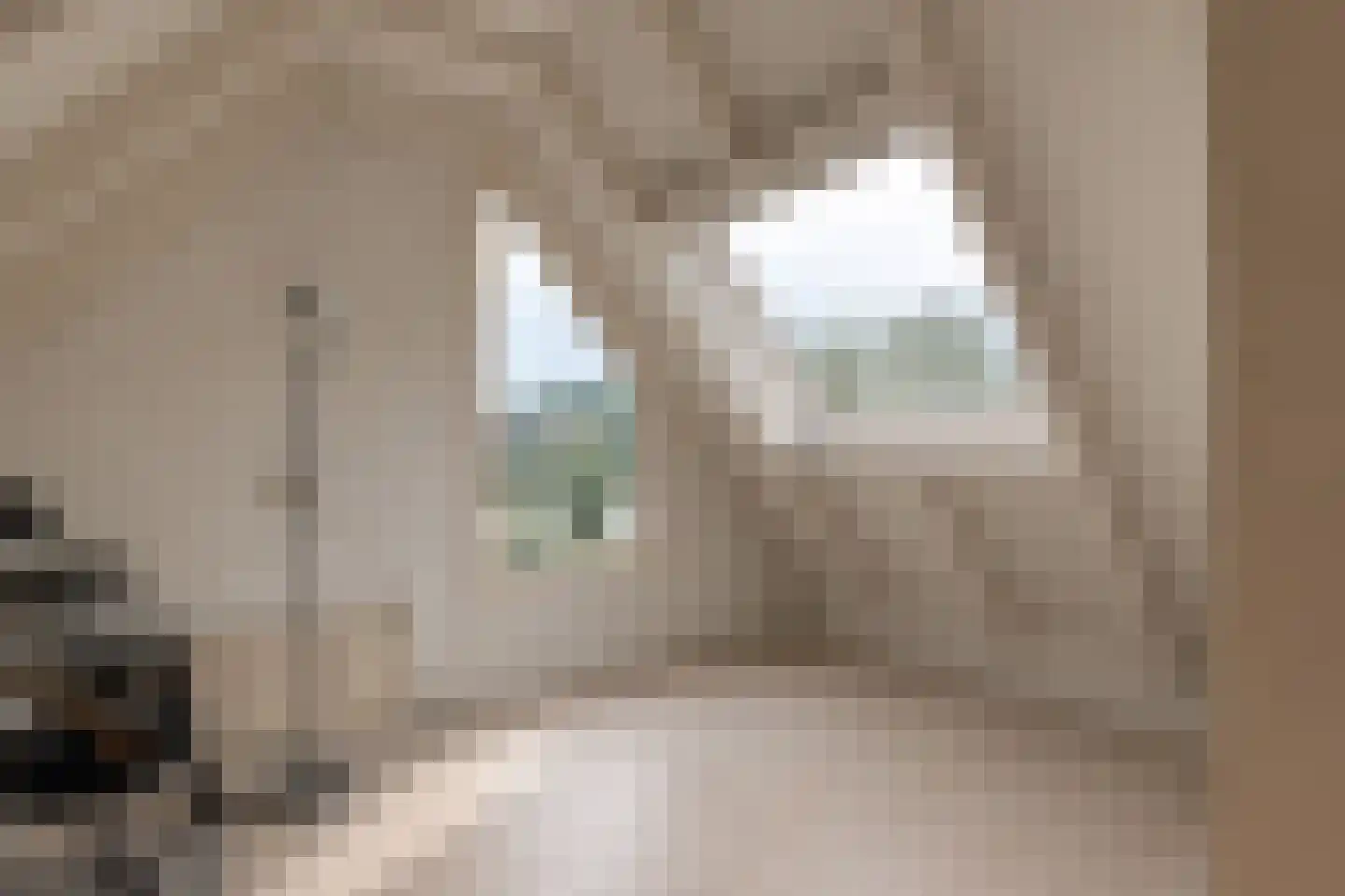 Kloosterstraat 47 Muiden thumbnail 33