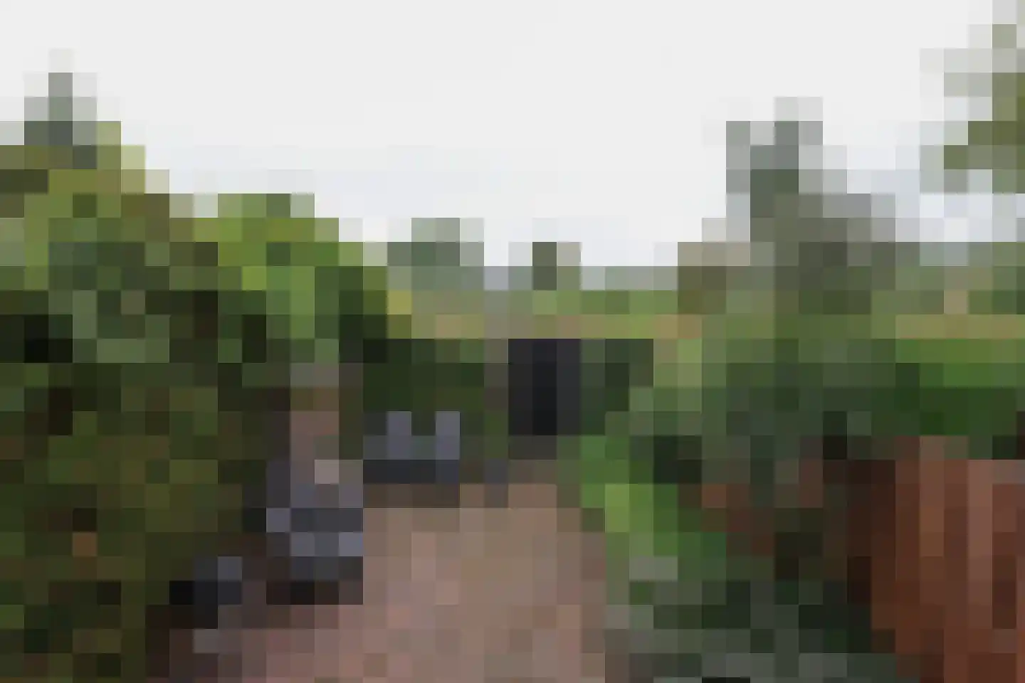 Kloosterstraat 47 Muiden thumbnail 9