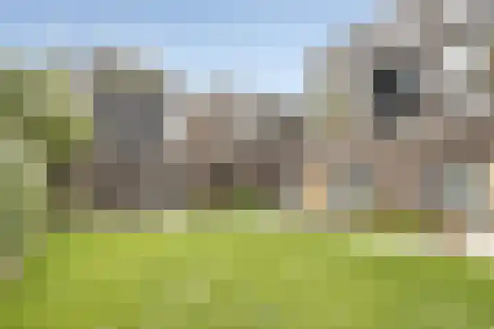 Kloosterstraat 49 19 en Tilburg