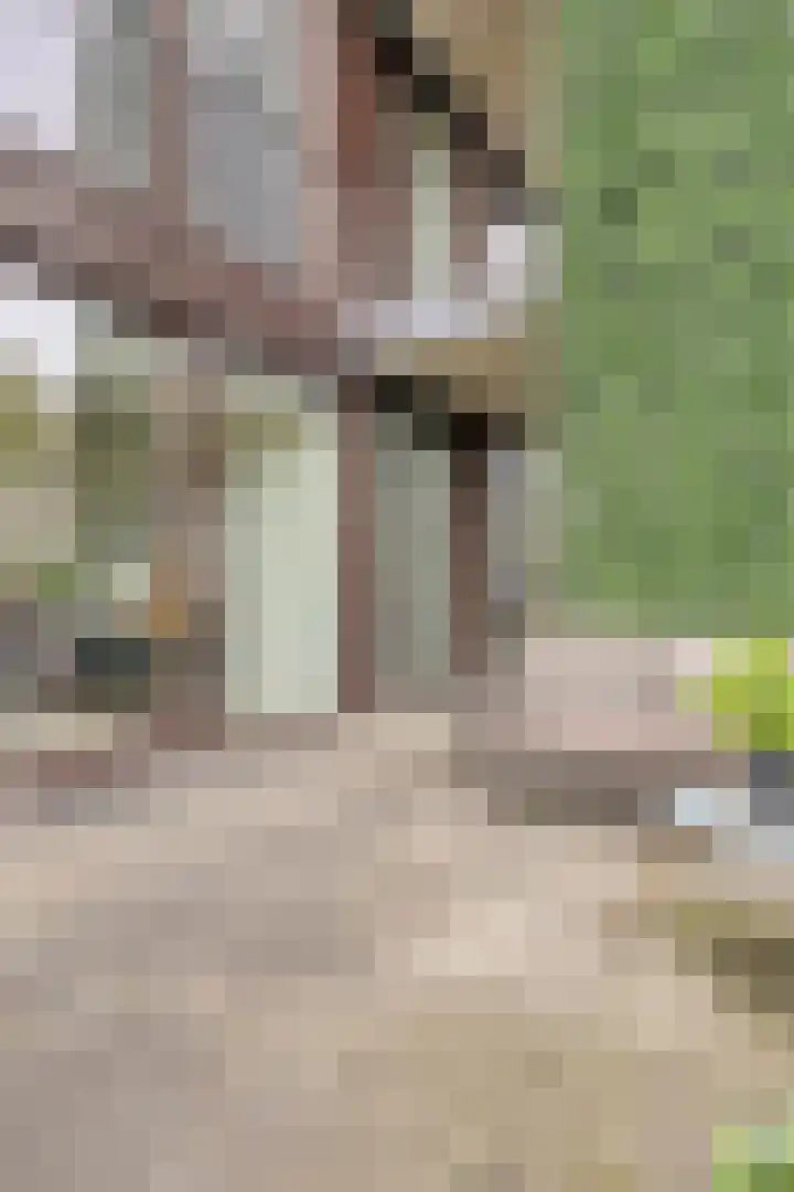 Kloosterstraat 49 24 Tilburg thumbnail 23