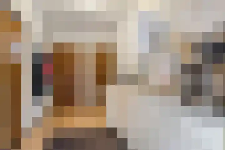 Kloosterstraat 5 A Volkel thumbnail 34
