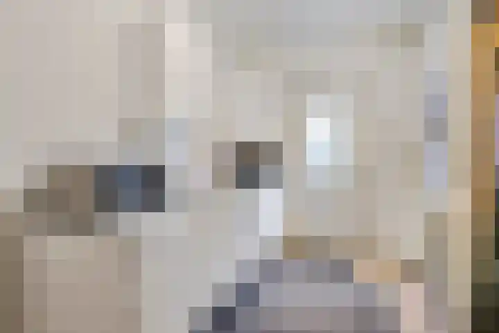 Kloosterstraat 5 A Volkel thumbnail 35