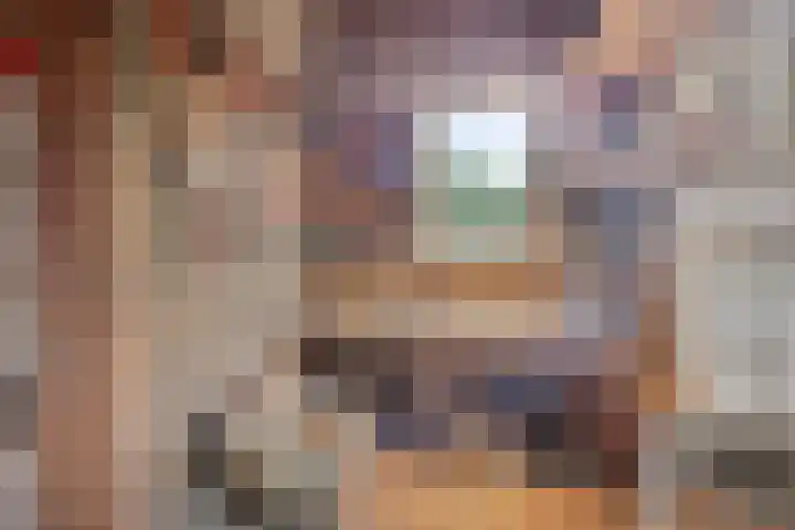Kloosterstraat 5 A Volkel thumbnail 40