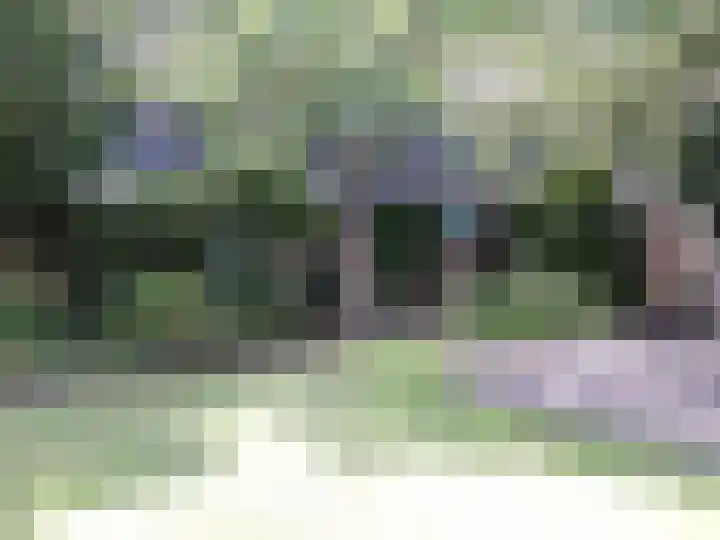 Kloosterstraat 5 A Volkel thumbnail 46