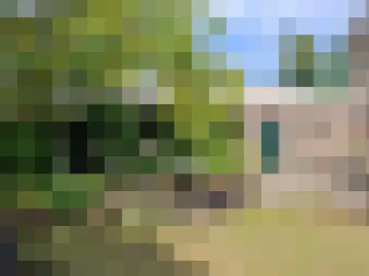 Kloosterstraat 5 A Volkel thumbnail 48