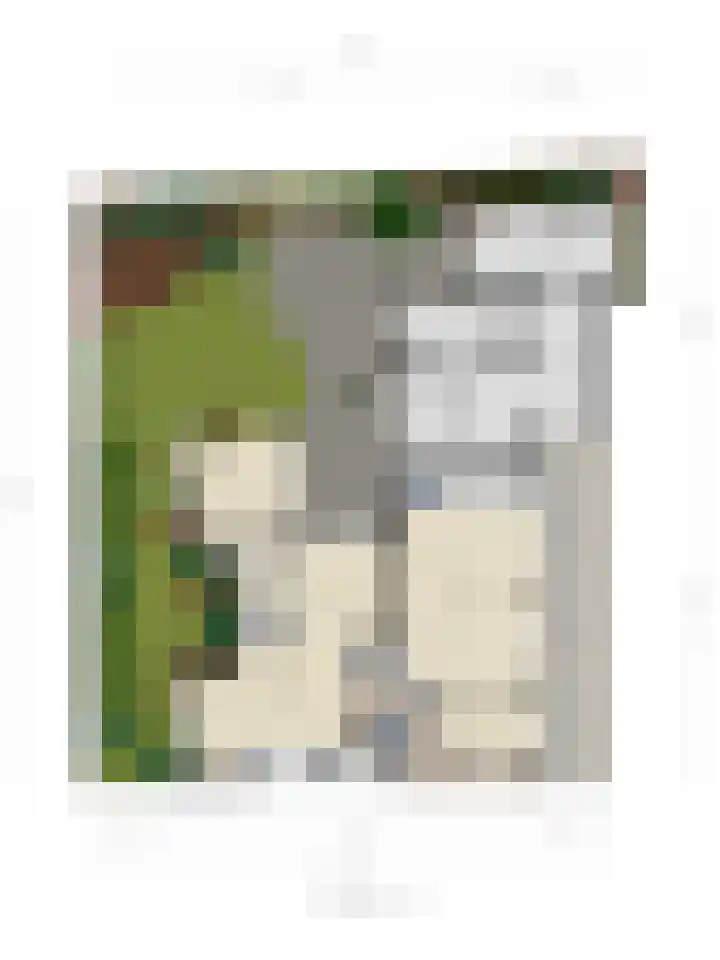 Kloosterstraat 5 A Volkel thumbnail 53
