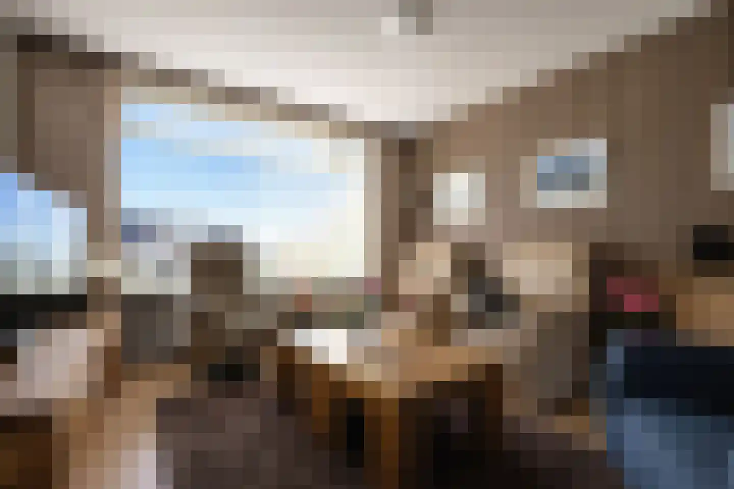 Kloosterstraat 5 Biervliet thumbnail 7