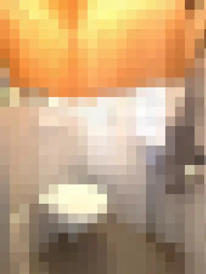 Kloosterstraat 5 Biervliet thumbnail 8