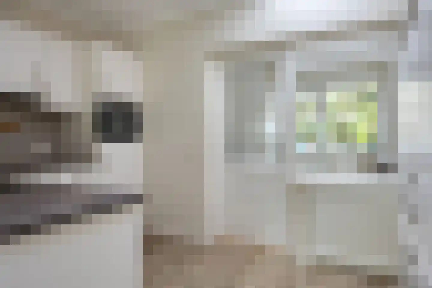 Kloosterstraat 5 Diever thumbnail 11