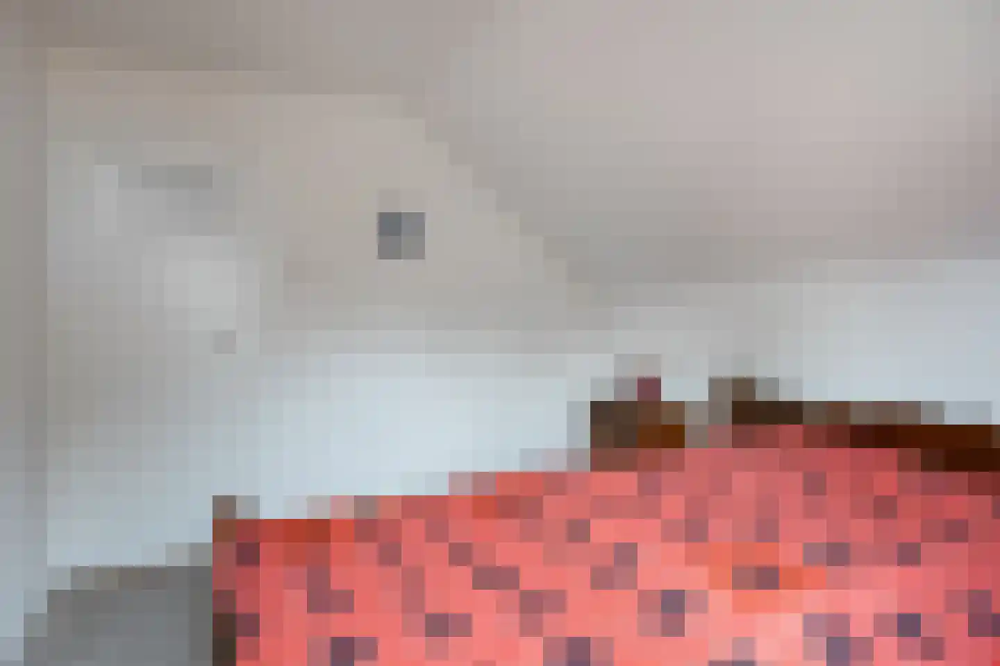 Kloosterstraat 5 Diever thumbnail 24