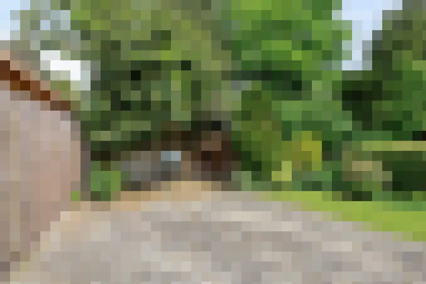 Kloosterstraat 5 Diever thumbnail 30