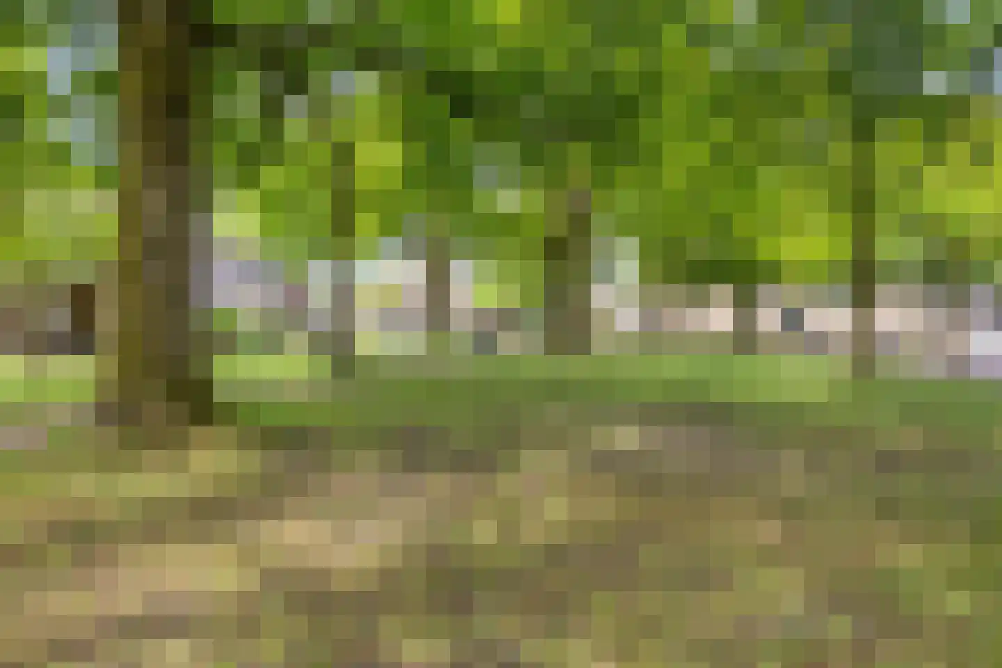 Kloosterstraat 5 Diever thumbnail 36