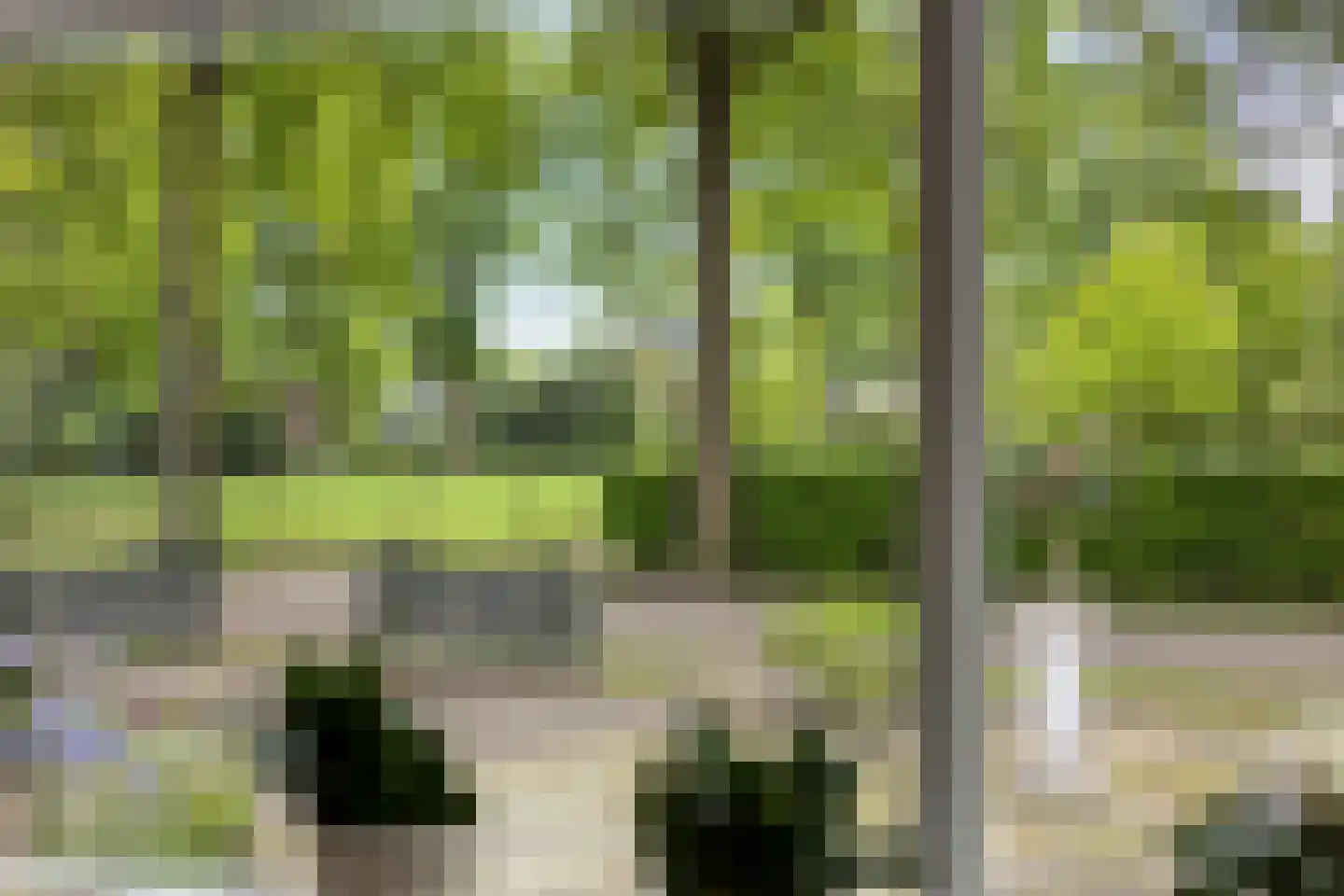 Kloosterstraat 5 Diever thumbnail 8