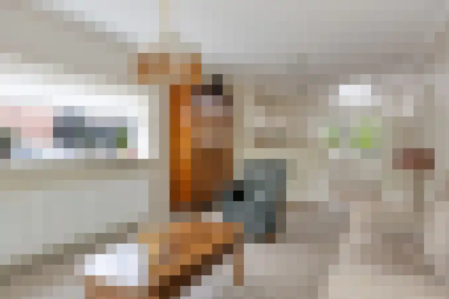 Kloosterstraat 5 Diever thumbnail 9