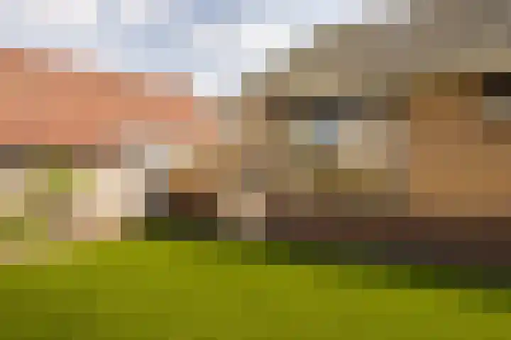 Kloosterstraat 5 Hoogerheide thumbnail 30