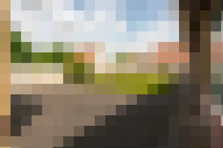 Kloosterstraat 5 Hoogerheide thumbnail 32