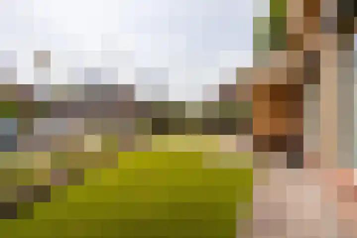 Kloosterstraat 5 Hoogerheide thumbnail 36