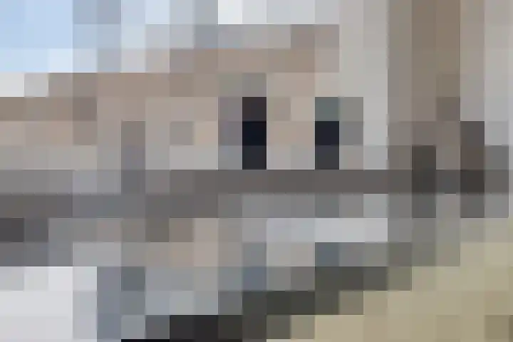 Kloosterstraat 5 Made thumbnail 9