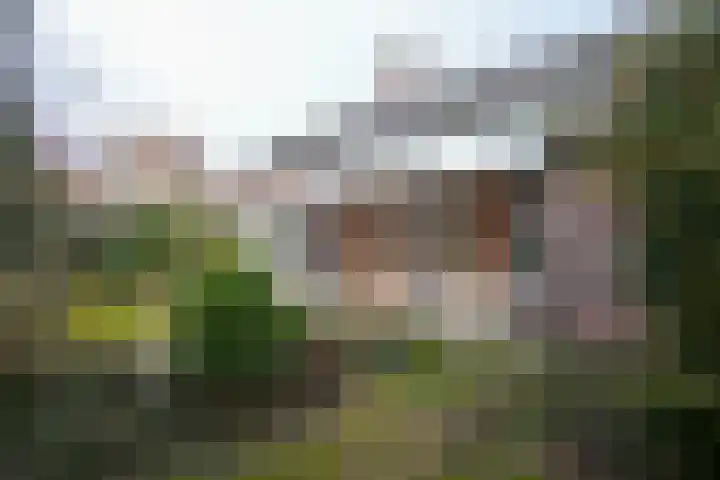 Kloosterstraat 5 Vaals thumbnail 22