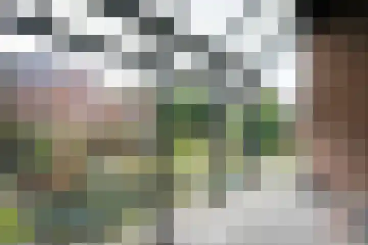 Kloosterstraat 5 Vaals thumbnail 23