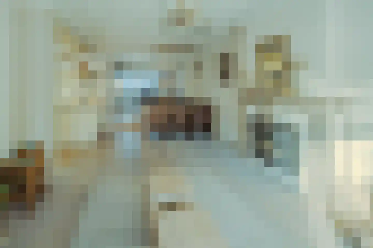 Kloosterstraat 50 Wintelre thumbnail 13