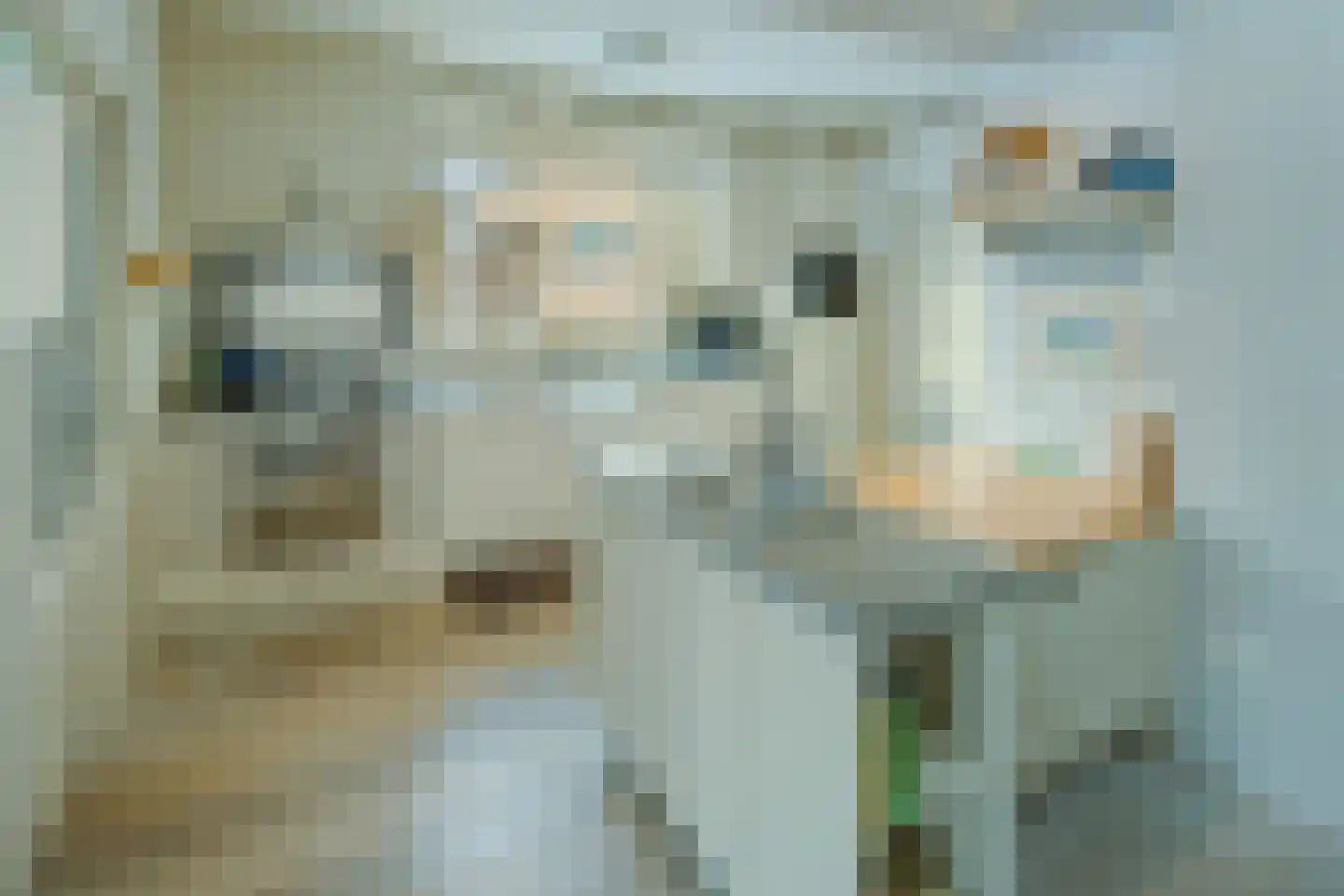 Kloosterstraat 50 Wintelre thumbnail 4