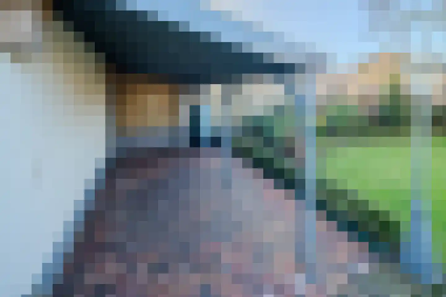Kloosterstraat 50 Wintelre thumbnail 47