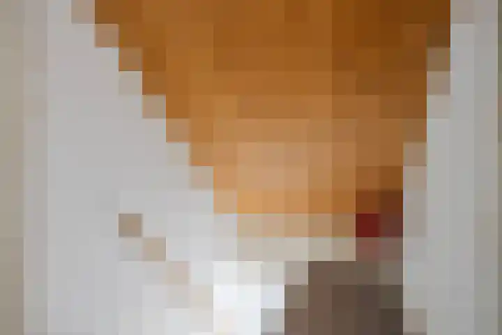 Kloosterstraat 51 Goirle thumbnail 25