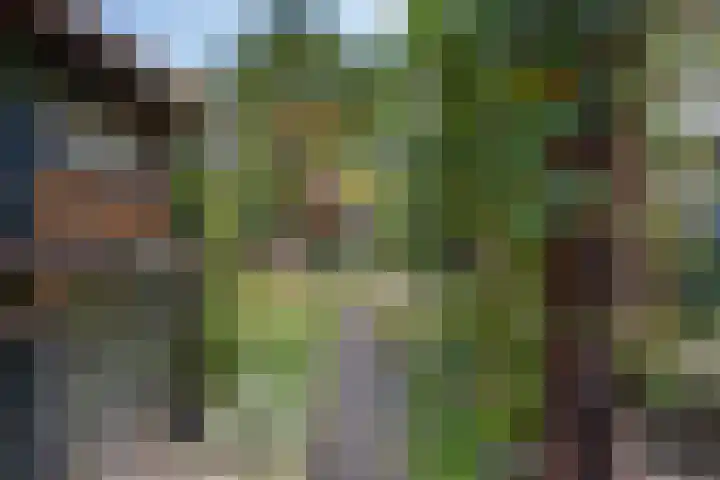 Kloosterstraat 51 Goirle thumbnail 31