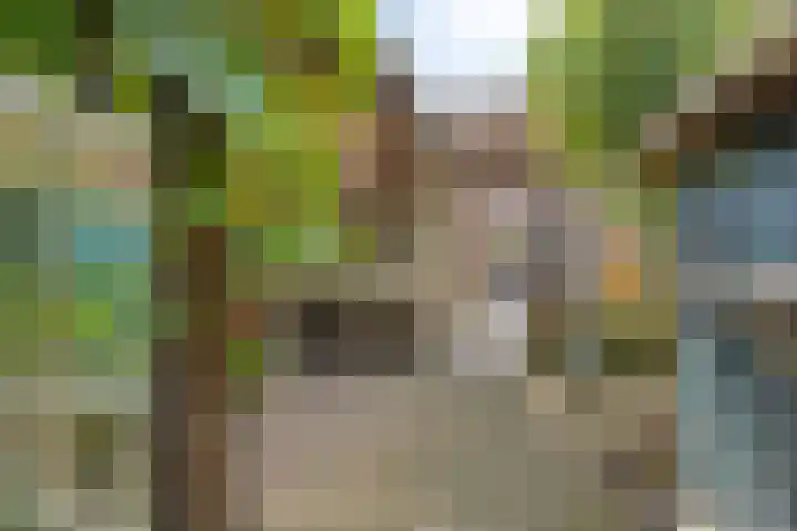 Kloosterstraat 51 Goirle thumbnail 33
