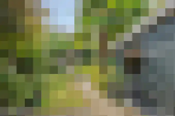 Kloosterstraat 51 Goirle thumbnail 35