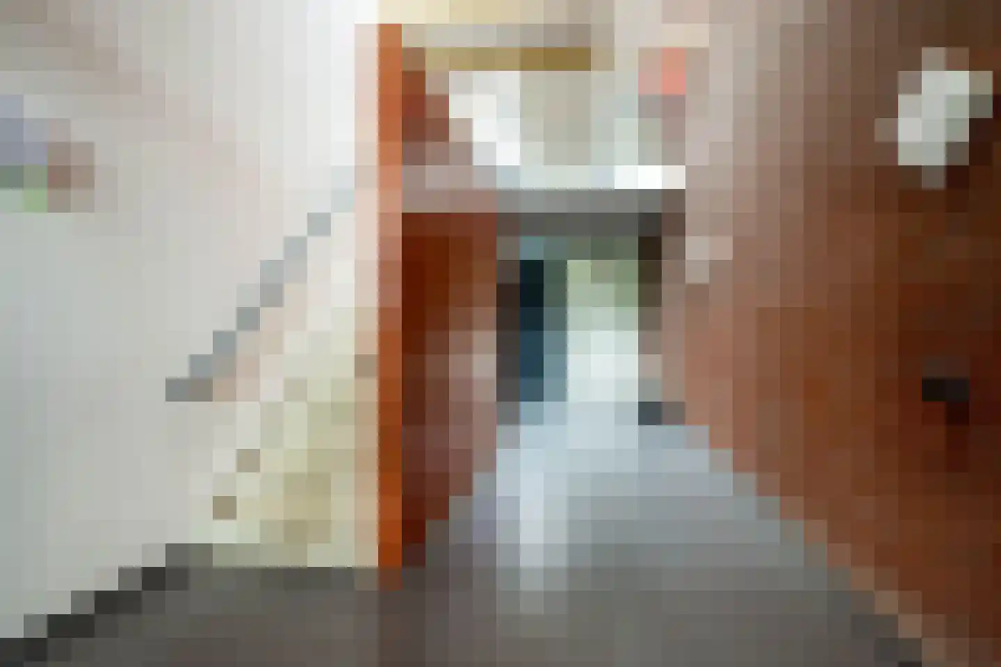 Kloosterstraat 52 Roosendaal thumbnail 28