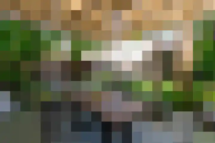 Kloosterstraat 52 Tilburg thumbnail 38