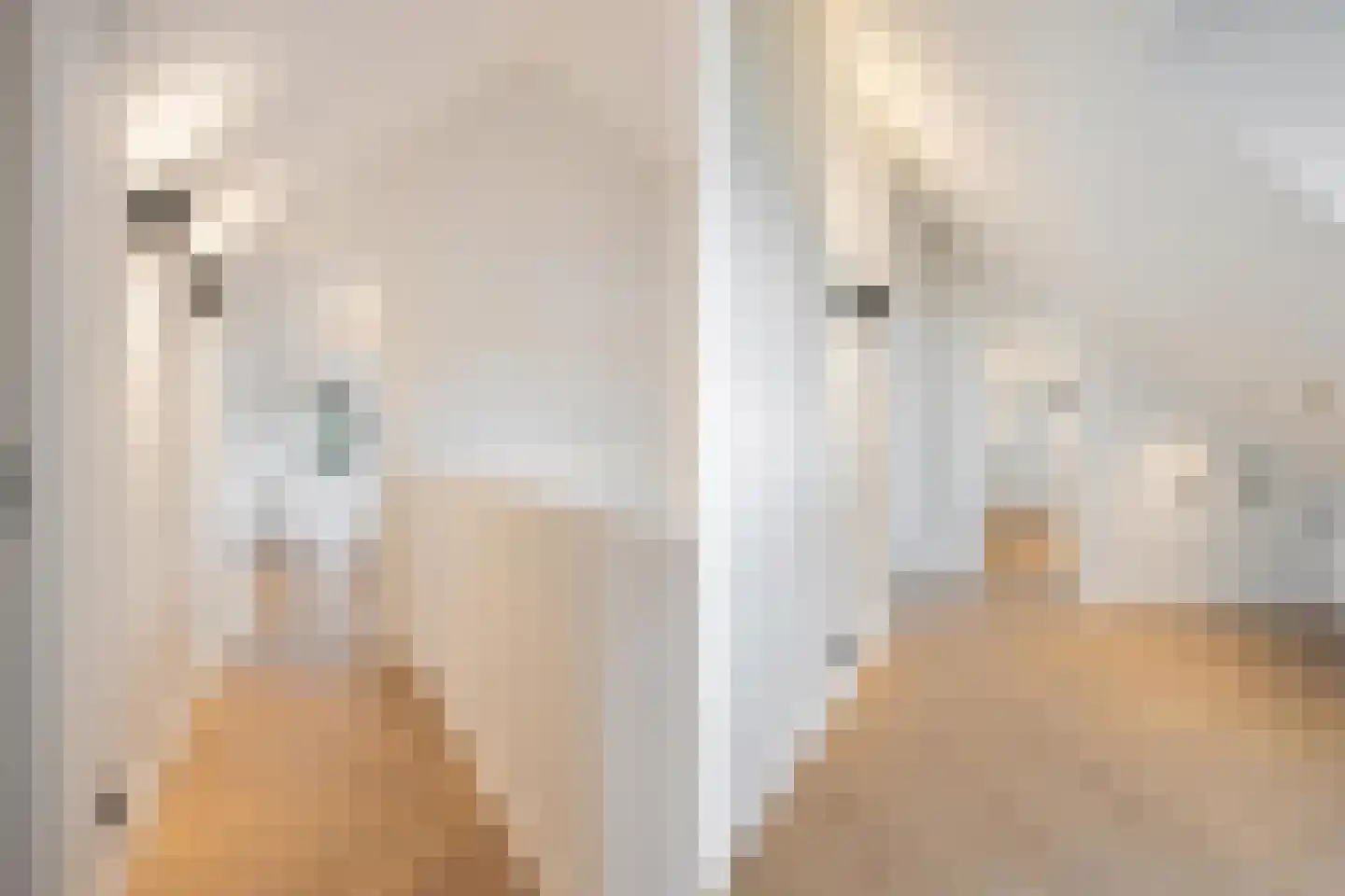 Kloosterstraat 54 Bavel thumbnail 41
