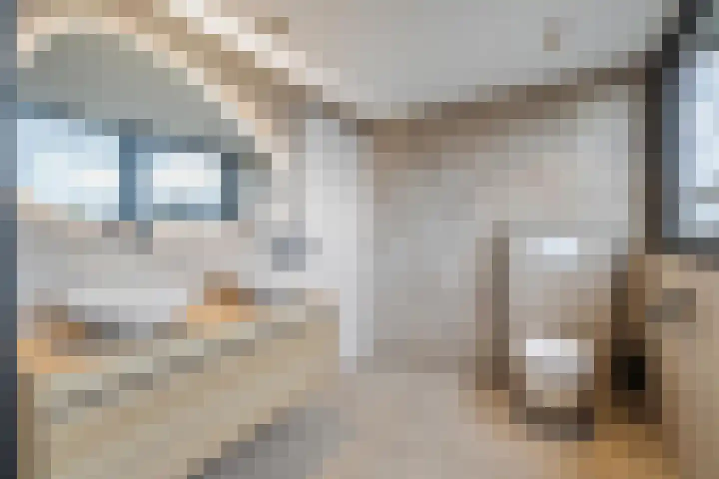 Kloosterstraat 54 Bavel thumbnail 54