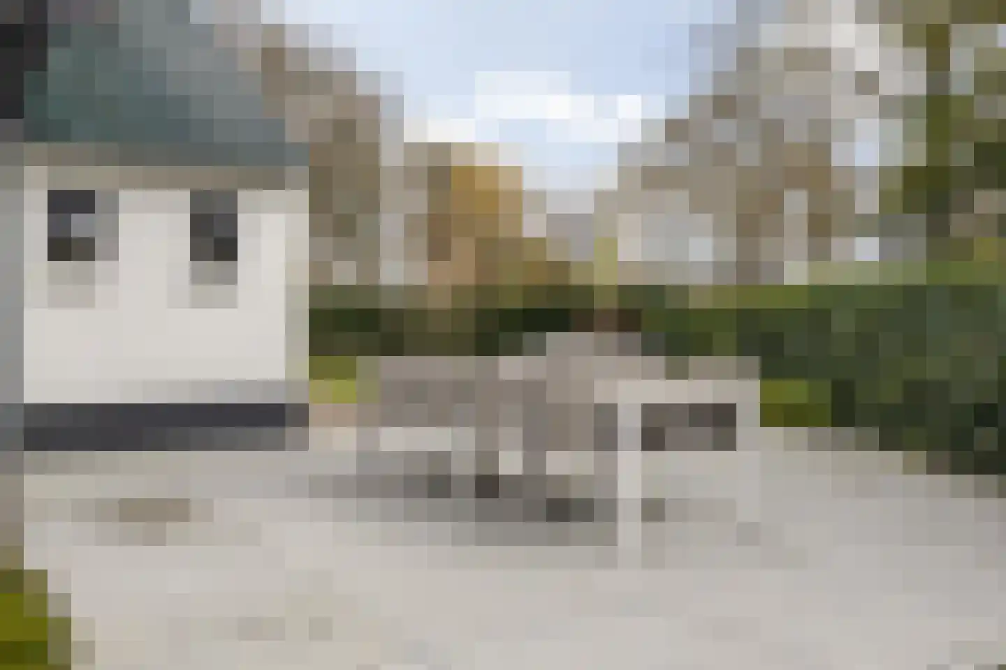 Kloosterstraat 54 Bavel thumbnail 58