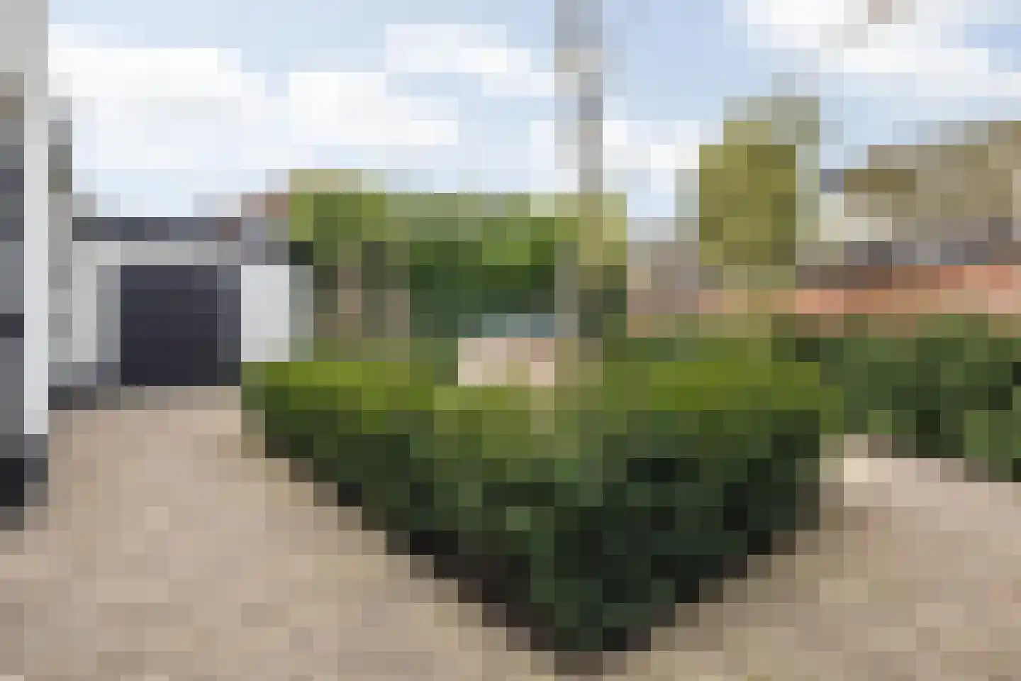 Kloosterstraat 54 Bavel thumbnail 63