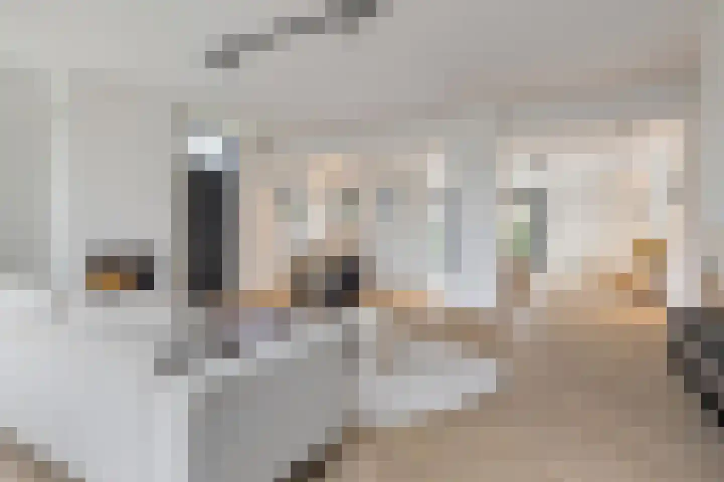 Kloosterstraat 54 Bavel thumbnail 7