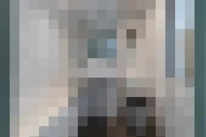 Kloosterstraat 55 Tilburg thumbnail 33